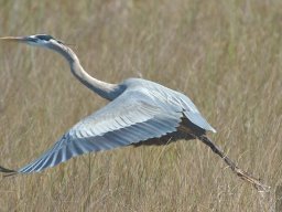 Florida_2007-2008-014